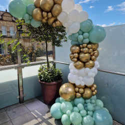 Organic Demi Balloon Arch
