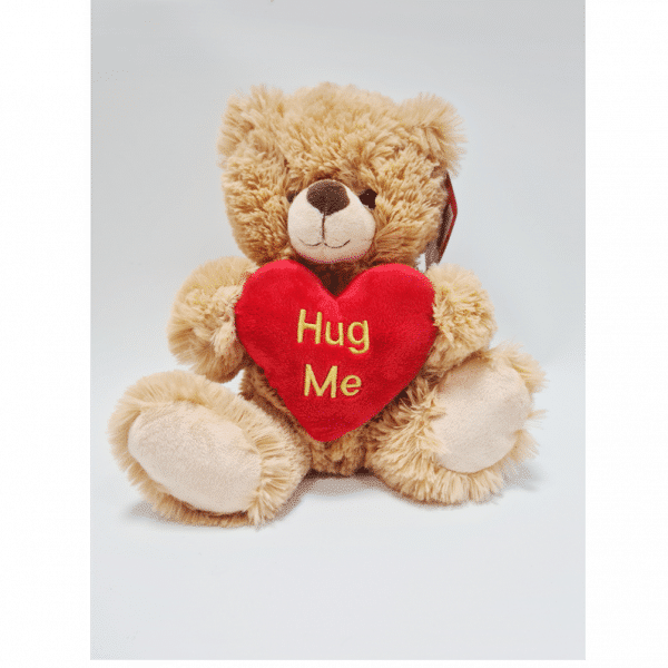 Brown Hug Me Teddy Bear from Cardiff Balloons