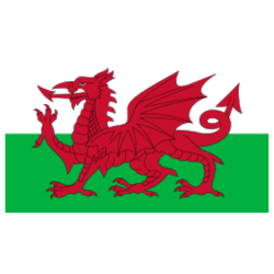 Welsh Flag 3ft x 5ft From Cardiff Balloons