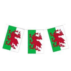 Welsh Flag Bunting From Cardiff Balloons