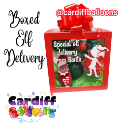 Boxed Elf Delivery From Cardiff Balloons